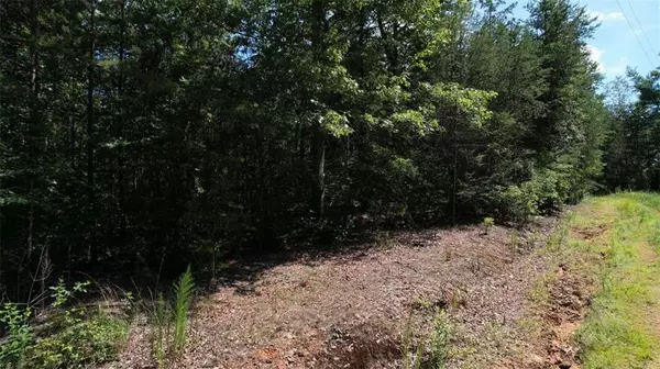 Ellijay, GA 30540,0) Flagpole CIR