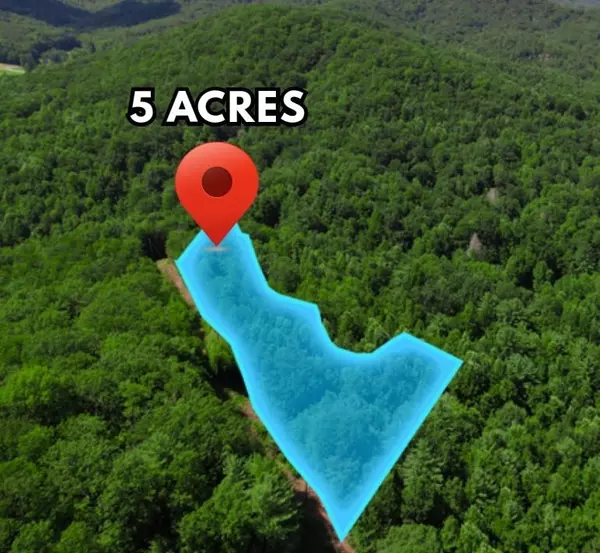 0) Flagpole CIR, Ellijay, GA 30540