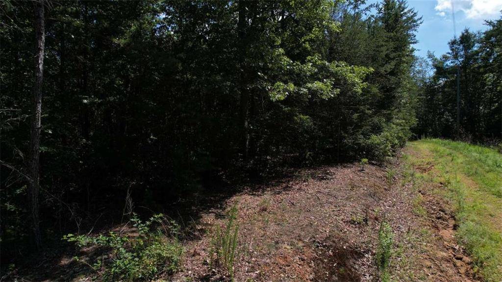 Ellijay, GA 30540,0) Flagpole CIR