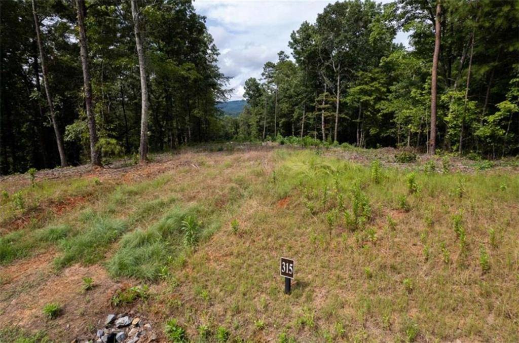Talking Rock, GA 30175,Lt 315 Pebble TRCE