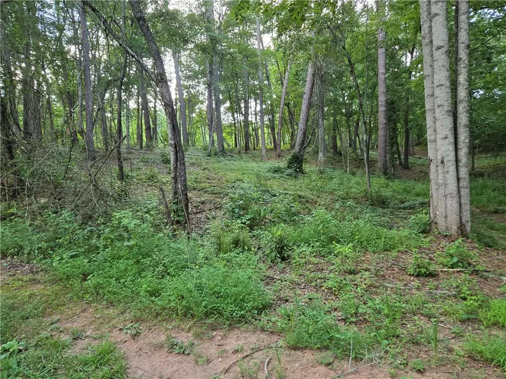 Canton, GA 30114,384 Tippens