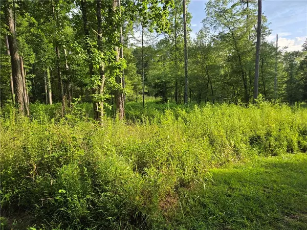 Canton, GA 30114,299 Tippens RD