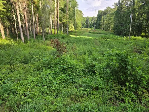 Canton, GA 30114,299 Tippens RD