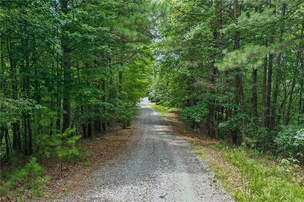 Ellijay, GA 30540,0 Lakeside TRL