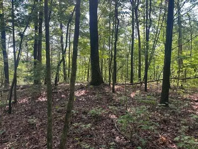 Talking Rock, GA 30175,TR3 - Wendy Hill Rd