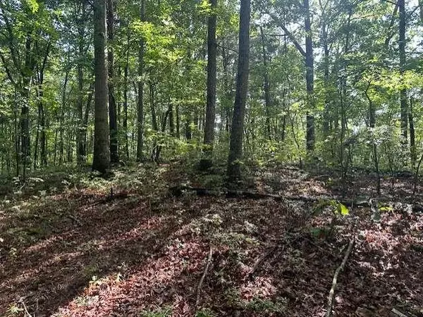 Talking Rock, GA 30175,TR3 - Wendy Hill Rd