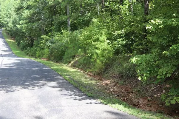 Ellijay, GA 30540,0 HARRIS RIDGE LN