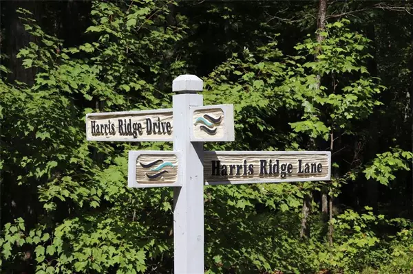 Ellijay, GA 30540,0 HARRIS RIDGE LN