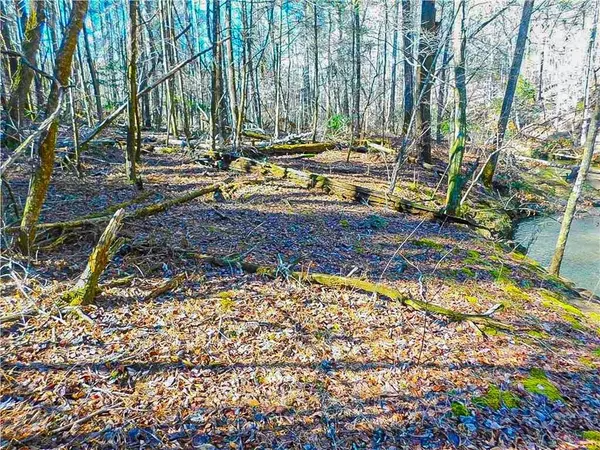 Dahlonega, GA 30533,00 Woodland LN