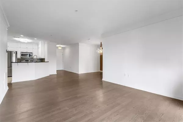 Atlanta, GA 30326,3334 Peachtree RD NE #509