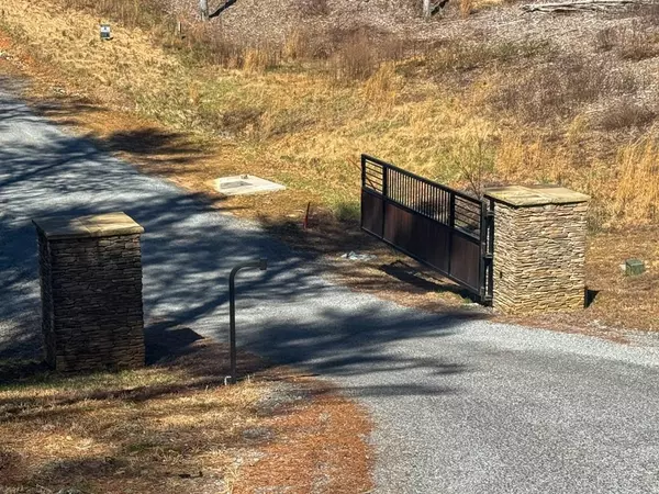 Mineral Bluff, GA 30559,LOT 55 Mountain Laurel RDG
