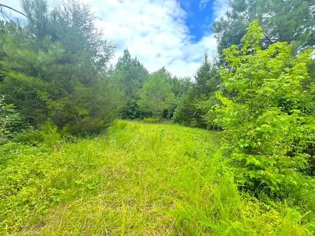 49 Iron Mountain RD NW, Adairsville, GA 30103