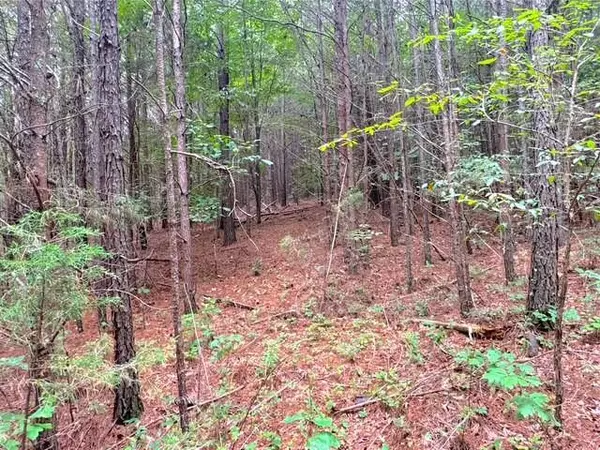 Adairsville, GA 30103,49 Iron Mountain RD NW