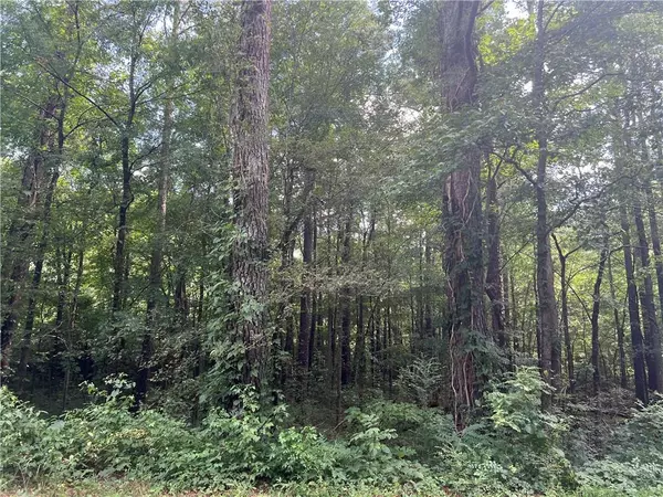 Rydal, GA 30171,0 Highway 411