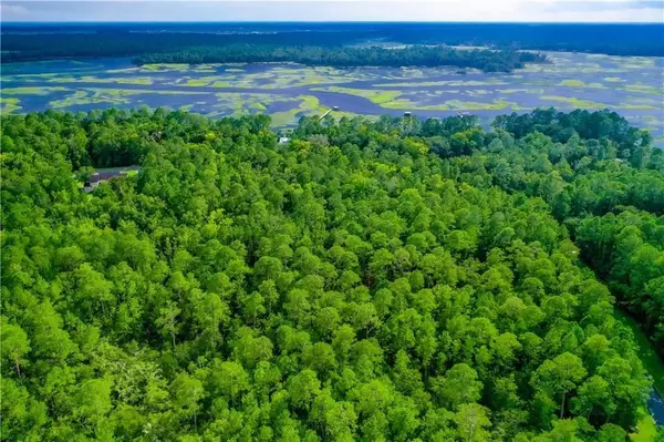Woodbine, GA 31569,Lot165 Sunrise DR