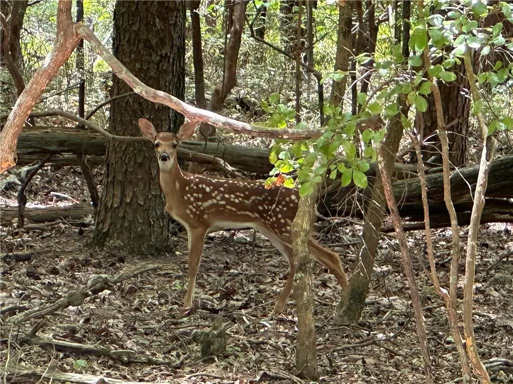 Jasper, GA 30143,0 Oak TRCE E