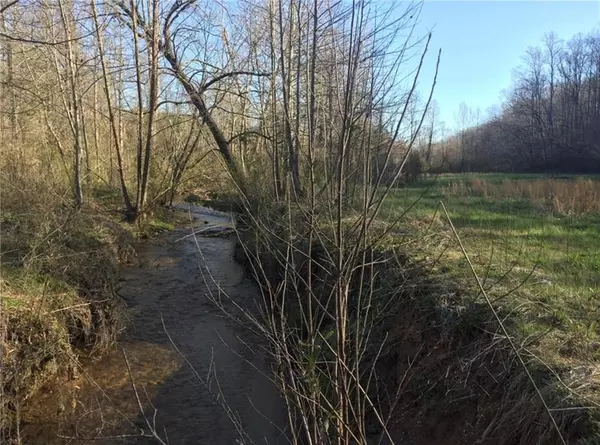 Dahlonega, GA 30533,0 Gold Crest DR