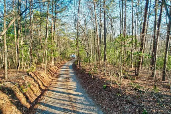 Ellijay, GA 30536,19.44 Mt Mcgurder RD