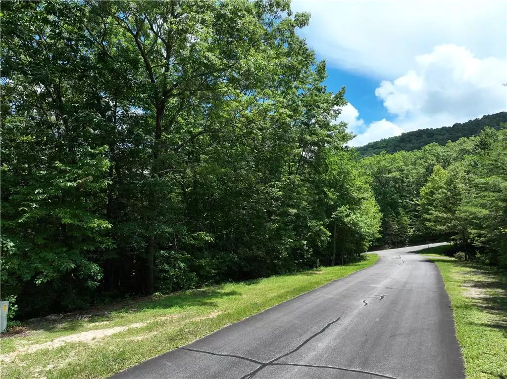Ellijay, GA 30536,122 Cloudland DR