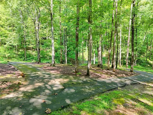 Clayton, GA 30525,876 Whitetail TRL