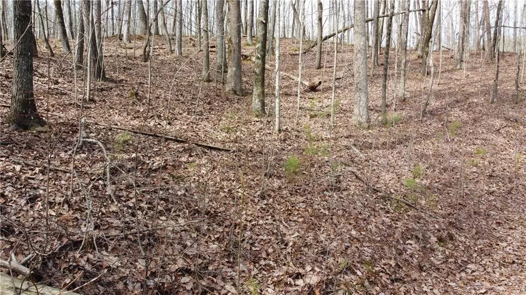 Ranger, GA 30734,1110 Mayfield LN NE