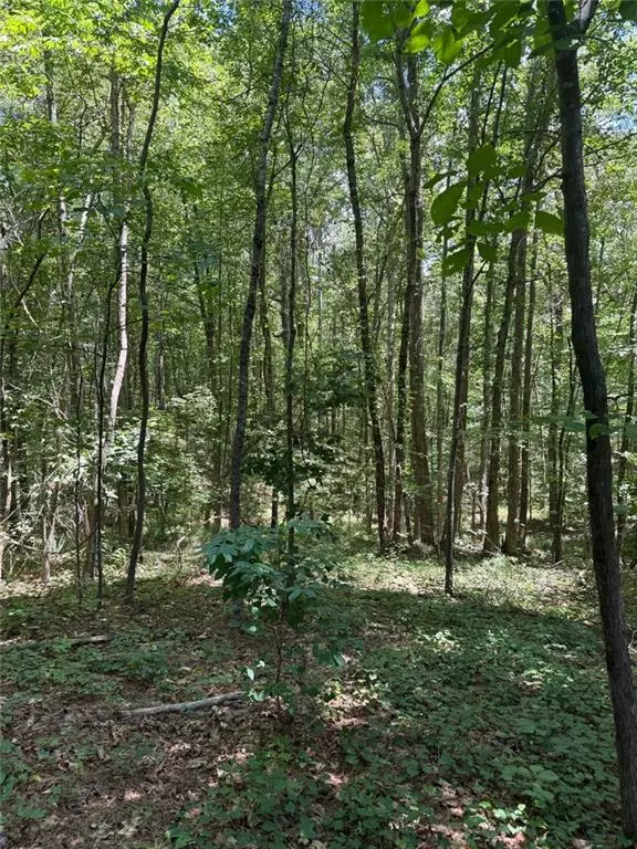 Canton, GA 30114,15 Sweetwater Creek DR