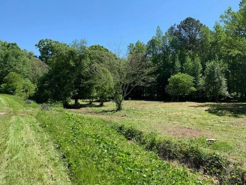 Oxford, GA 30054,4932 LOWER JERSEY