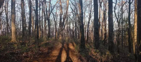 Jasper, GA 30143,00 Lower Sassafras Pkwy