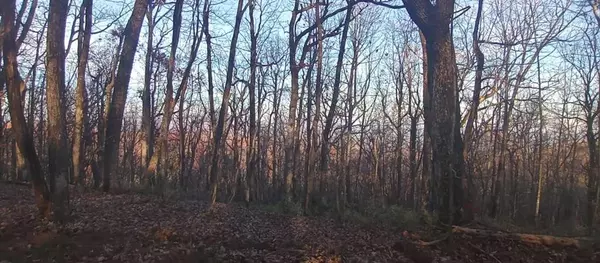 Jasper, GA 30143,00 Lower Sassafras Pkwy