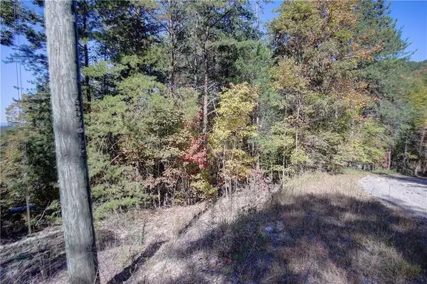 169 Jasmine DR NE, Ranger, GA 30734