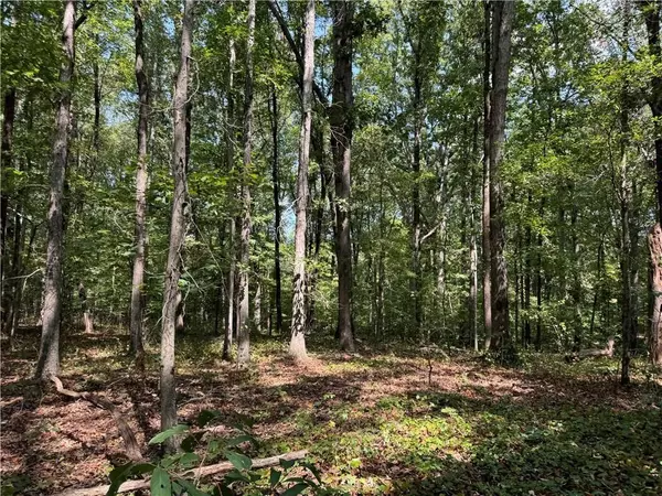 Canton, GA 30115,348 A Pat Rich Drive