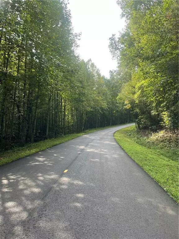 Dahlonega, GA 30533,0 Gold View DR