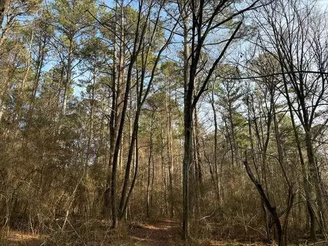 Carrollton, GA 30117,2994 Mt Zion Rd #1