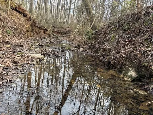 Carrollton, GA 30117,2994 Mt Zion Rd #3