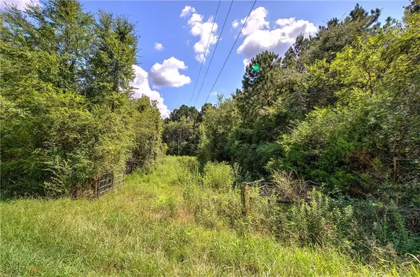 Adairsville, GA 30103,000 Crowe Springs SPUR NW