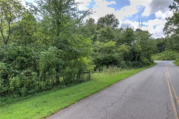 Adairsville, GA 30103,000 Crowe Springs SPUR NW