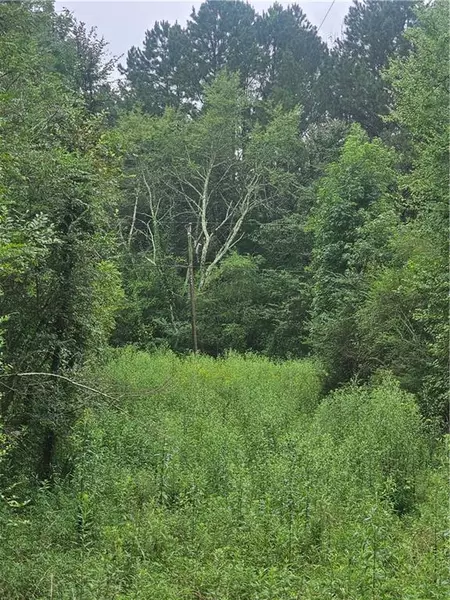 000 Crowe Springs SPUR NW, Adairsville, GA 30103