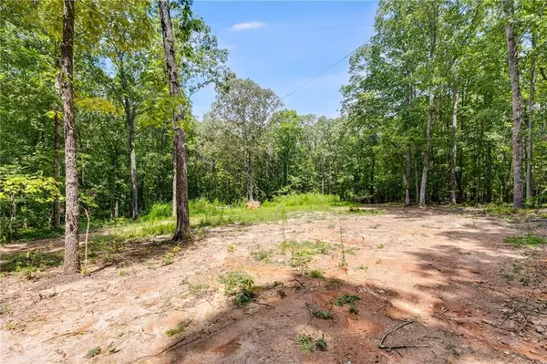 Tallapoosa, GA 30176,4492 US-78