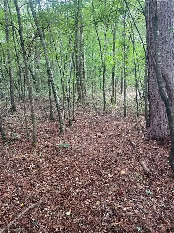 Aragon, GA 30104,0 Waddell CIR