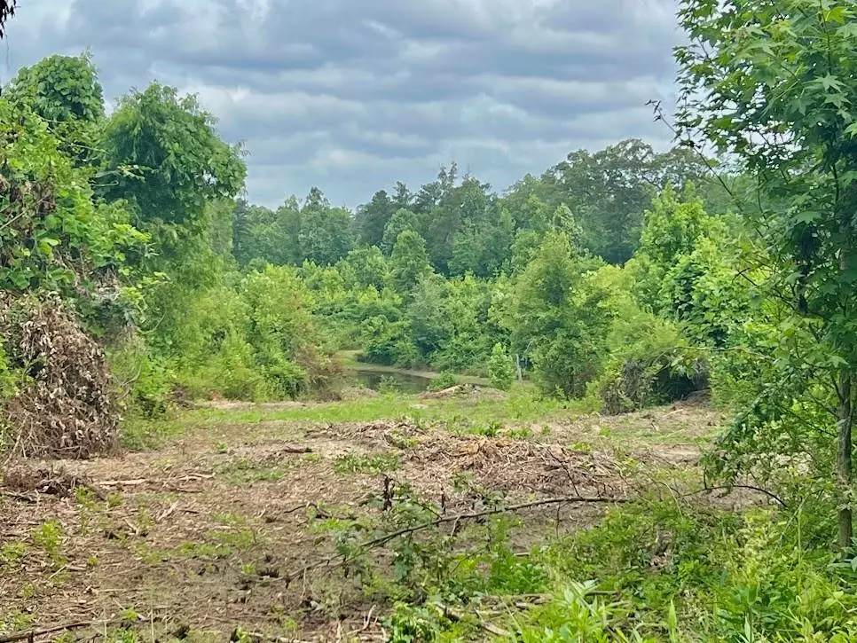 Carrollton, GA 30116,000 Folds (Tract D - 22.67 Acres) RD