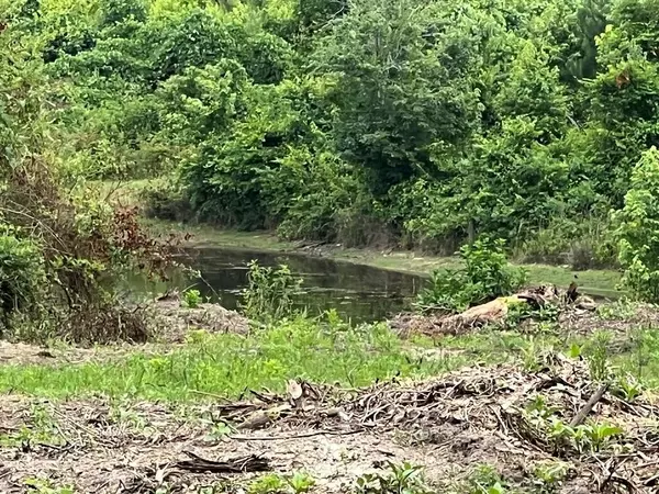 Carrollton, GA 30116,000 Folds (Tract D - 22.67 Acres) RD