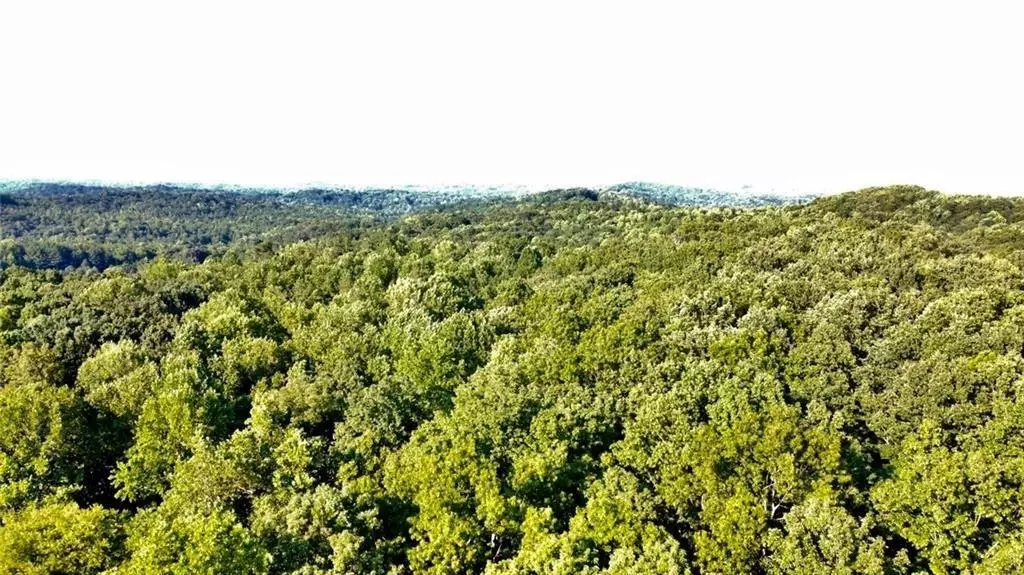 Dawsonville, GA 30534,00 Dawsonville HWY