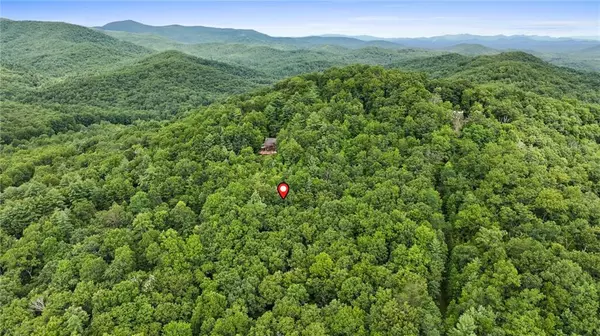 Cherry Log, GA 30522,LOT 10 Papa Bear PATH