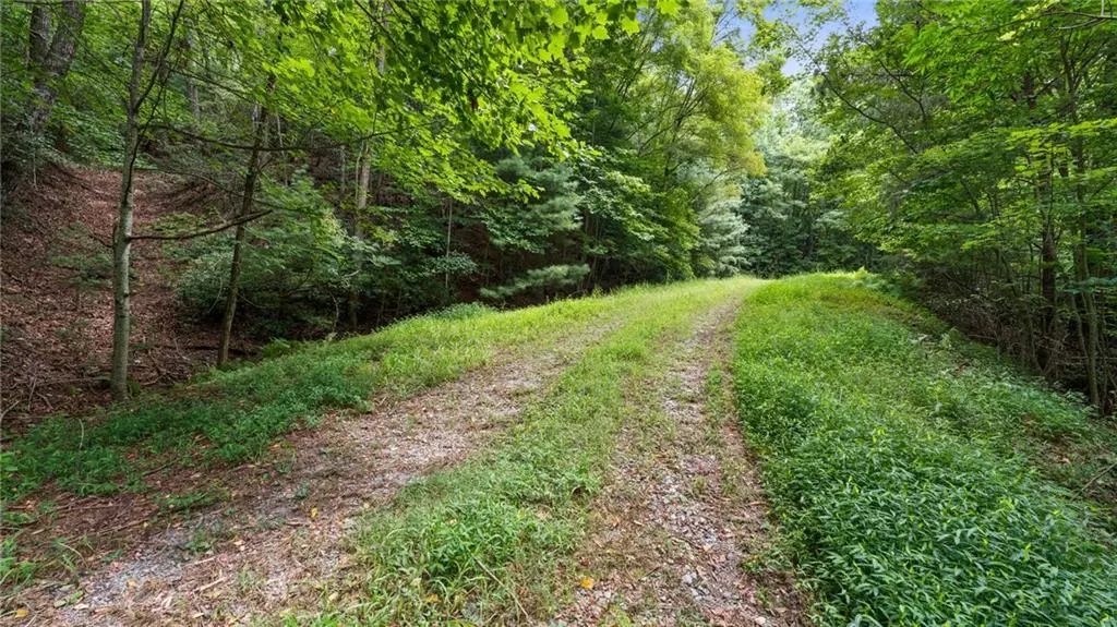 Cherry Log, GA 30522,LOT 10 Papa Bear PATH