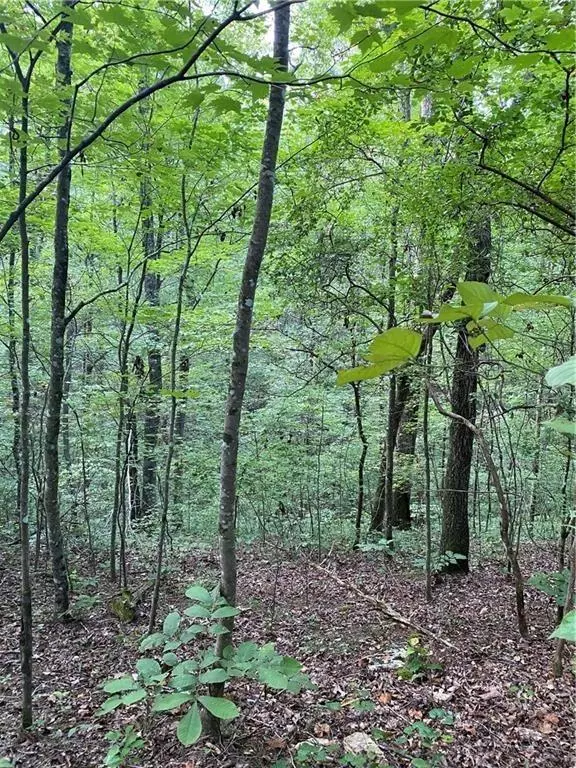 Talking Rock, GA 30175,0 Marie DR