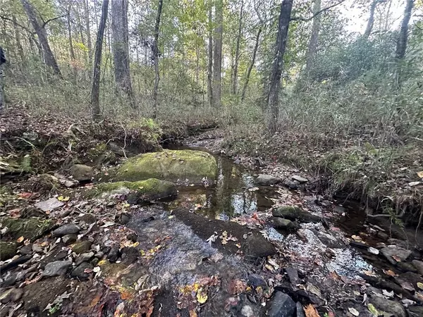 Dahlonega, GA 30533,10 Lee Mashburn RD