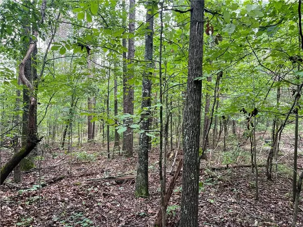White, GA 30184,300 Timberwood RD NW