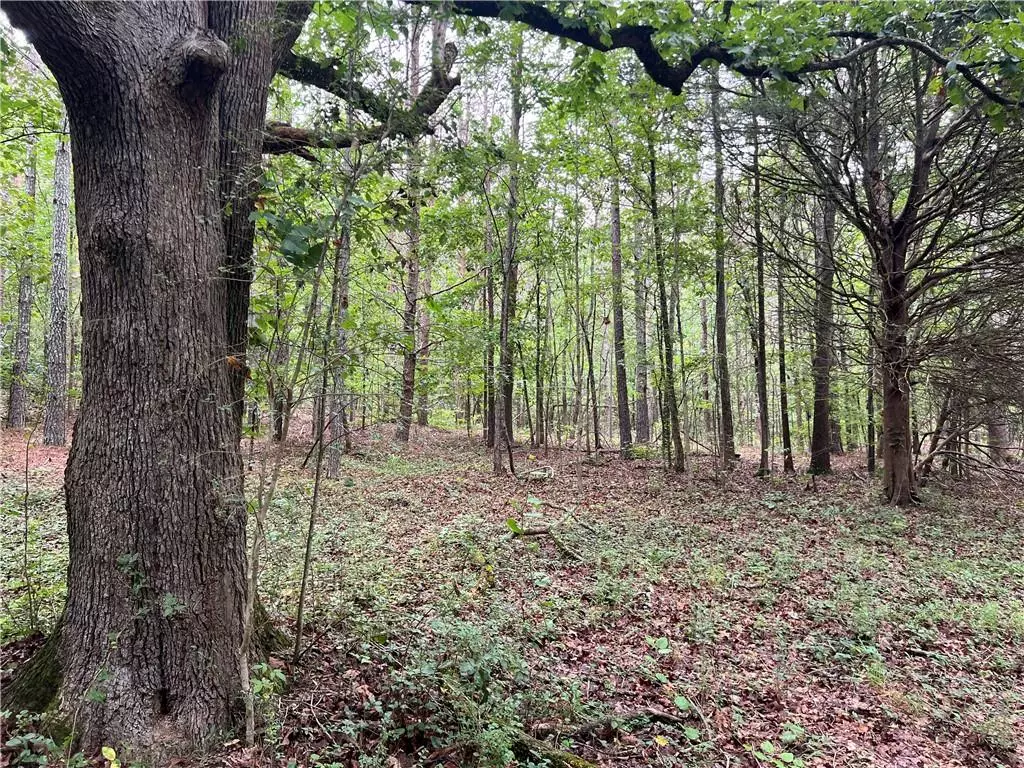 White, GA 30184,300 Timberwood RD NW