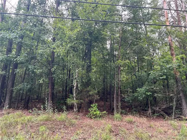 White, GA 30184,119 Kirk RD NW