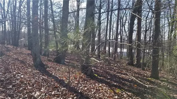 Buford, GA 30518,1785 Plunketts RD
